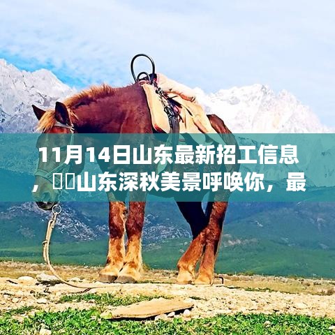 山东最新招工信息带你领略深秋美景的心灵之旅启程招募！