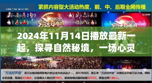 探寻自然秘境，心灵之旅启程于2024年11月14日