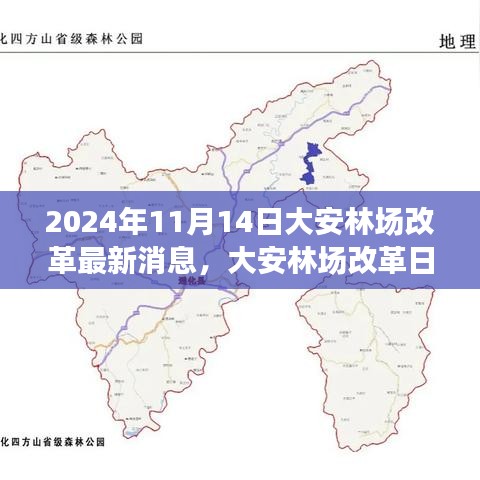 大安林场改革故事会，最新消息与温馨改革之旅（2024年11月14日）