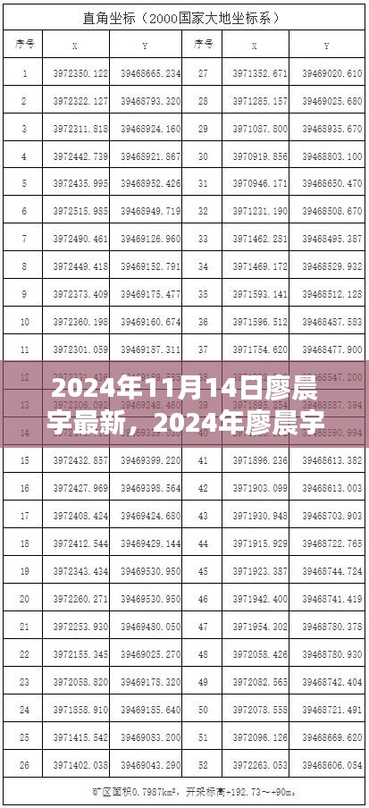 廖晨宇成长轨迹揭秘，最新动态与未来展望（2024年）