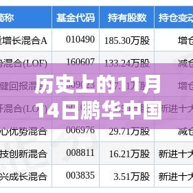 历史上的11月14日鹏华中国50最新净值深度解析及观察报告