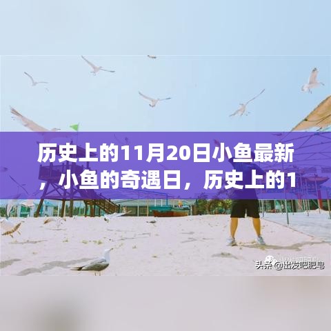 历史上的11月20日，小鱼奇遇日的温馨小事回顾