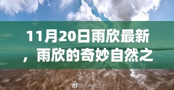 雨欣的11月20日奇妙探险，自然之旅寻找心灵宁静与笑声