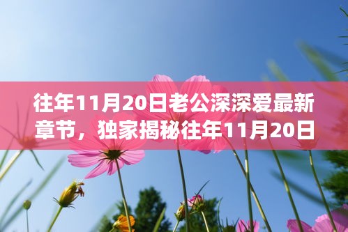 往年11月20日老公深情与高科技融合，全新智能伴侣揭秘，颠覆想象！