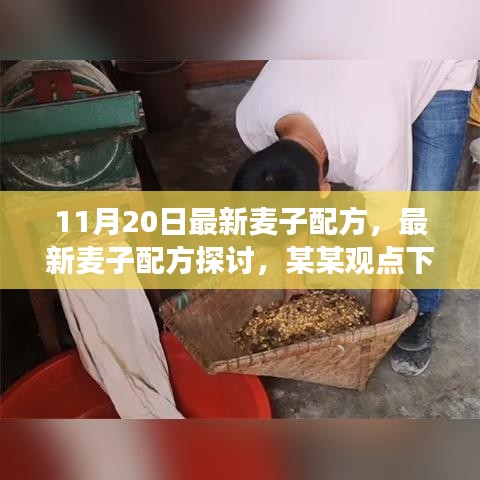 最新麦子配方探讨，某某观点下的分析与个人立场分享（11月20日更新）