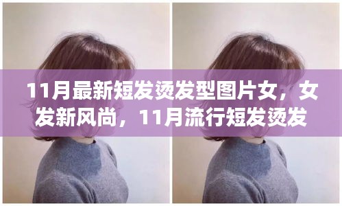 11月流行女发短烫发，全新风尚与全攻略图片欣赏