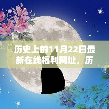 历史上的11月22日与最新在线福利网址，多方观点深度探析