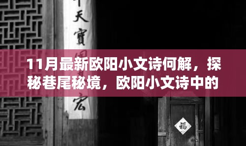 欧阳小文诗探秘巷尾秘境，揭秘新解与隐藏佳肴