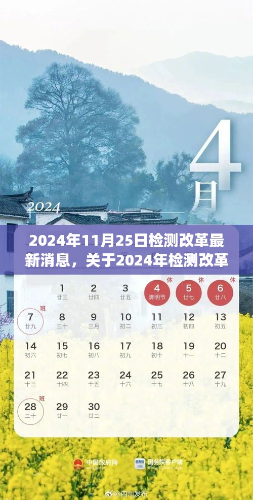 2024年检测改革最新动态全面解读与深度分析