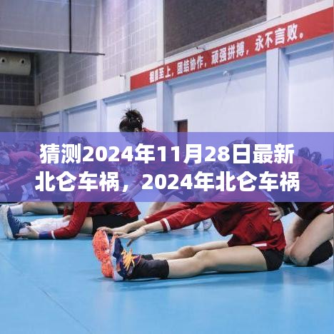 深度解析，2024年北仑车祸背景、事件与影响