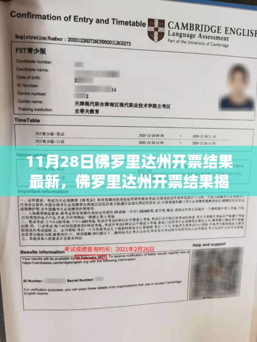 佛罗里达州开票结果揭晓，新篇章下的政治风云及其影响