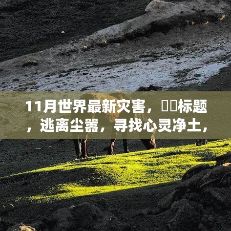 十一月探险之旅，灾难边缘的求生与心灵净土的追寻