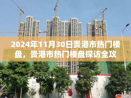 贵港市热门楼盘探访全攻略，购房指南（2024年11月30日）