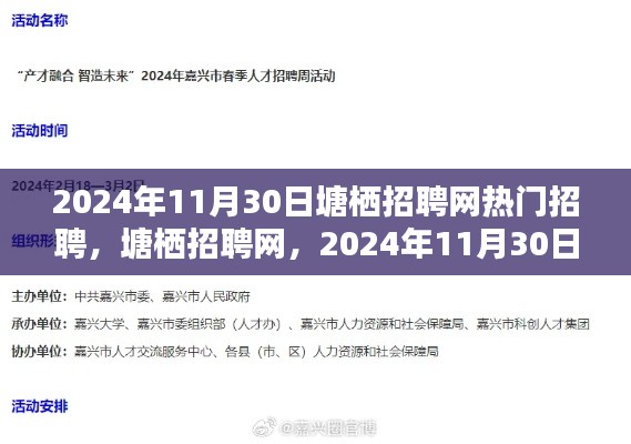 塘栖招聘网热门招聘日，寻找人才的热潮涌动在塘栖招聘网，2024年11月30日盛大开启！