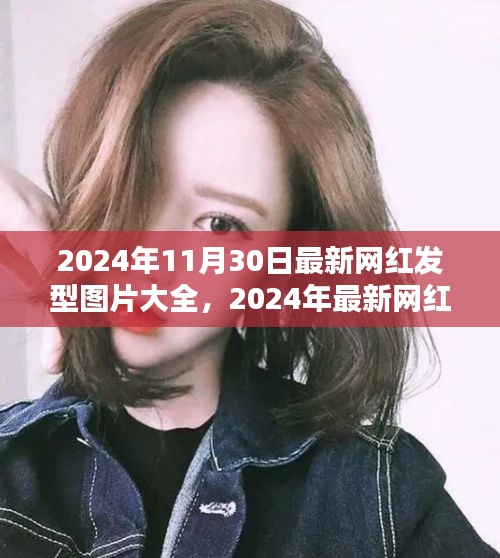 2024年网红发型图片大全，深度评测与介绍