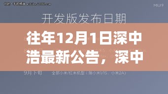 深中浩历年公告深度解析，背景、事件与领域地位回顾之最新公告解读