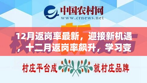 十二月返岗率飙升，迎接新机遇，学习变化带来的自信与成就感