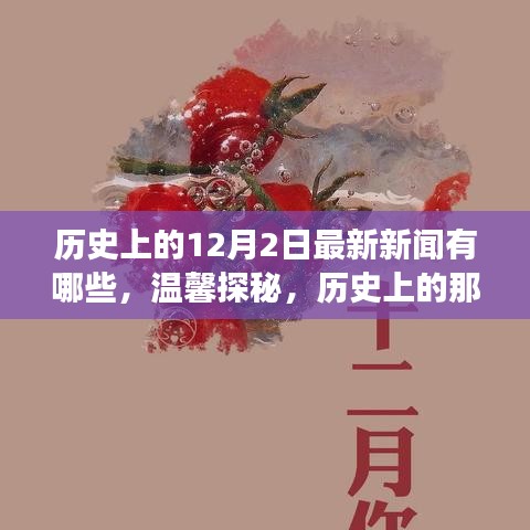 温馨探秘，历史上的十二月二日最新新闻与日常小故事回顾