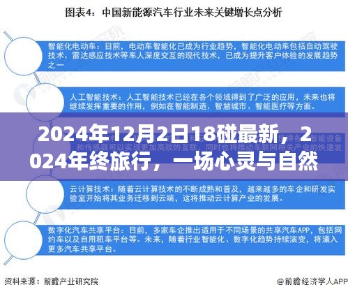 心灵与自然的碰撞，2024年终旅行记