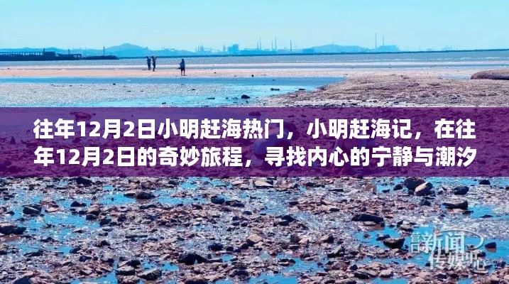 小明赶海记，寻找潮汐之声与内心的宁静之旅