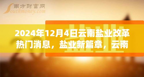 云南盐业改革新篇章，温情故事与行业动态揭秘（2024年12月4日）