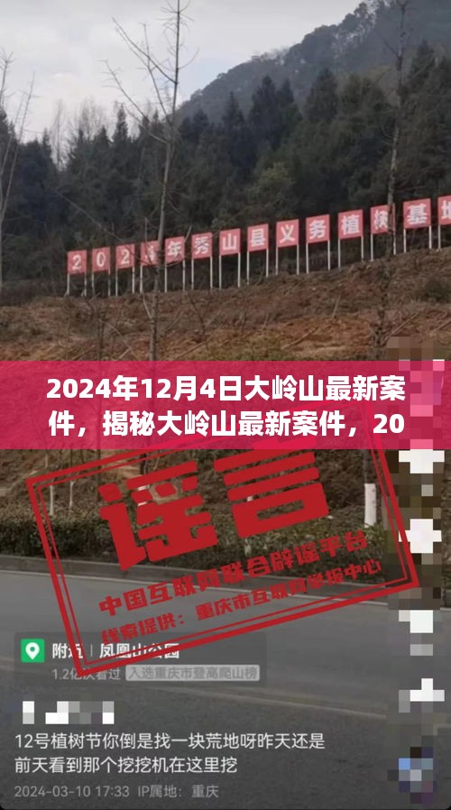 揭秘大岭山最新案件内幕，深度剖析大岭山事件真相（2024年12月4日）