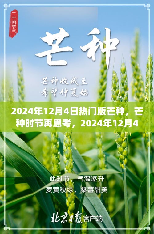 建议，芒种时节再思考，2024年热门版芒种的深层意义与影响