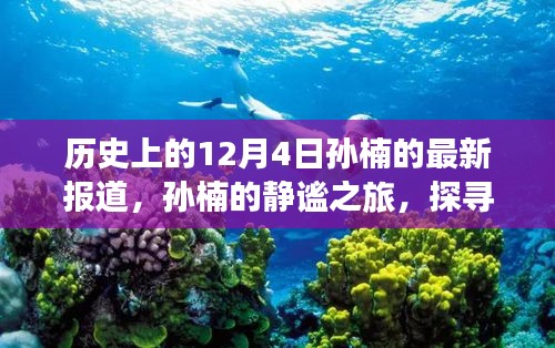 孙楠的静谧之旅，探寻自然美景与内心力量的历史报道（12月4日最新）