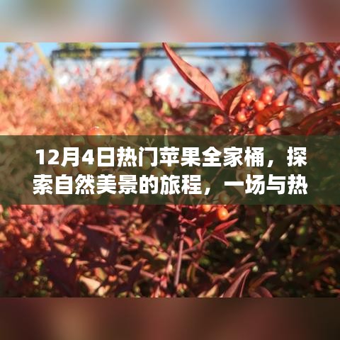 苹果全家桶冬日之旅，探索自然美景的奇妙邂逅