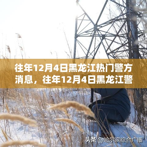 黑龙江警方警务动态热点聚焦，警务影响分析与公众关注焦点解读