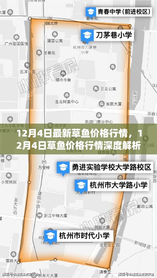 12月4日草鱼价格行情解析，市场走势、影响因素及选购指南