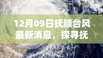 抚顺台风日下的隐秘小巷与风味小店探秘记（最新消息）