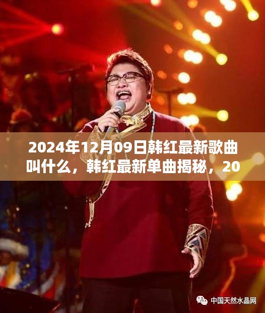 韩红最新单曲揭秘与全面测评，2024年12月09日之作