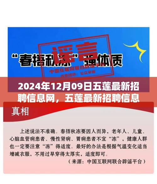 五莲最新招聘信息网使用指南（初学者与进阶用户适用，发布日期，2024年12月9日）