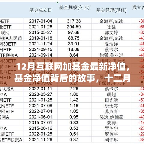 十二月互联网加基金最新净值，温情陪伴背后的投资故事