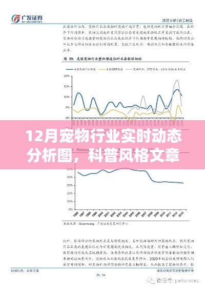 揭秘宠物行业趋势，12月宠物行业实时动态科普分析图