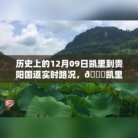 员工入口 第4页