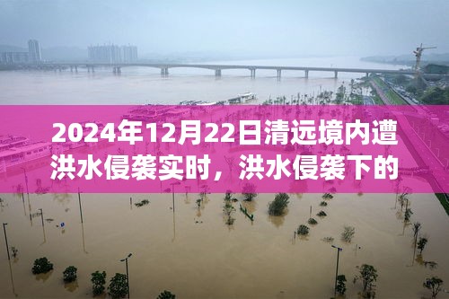 洪水侵袭下的清远秘境，美食奇遇与实时报道