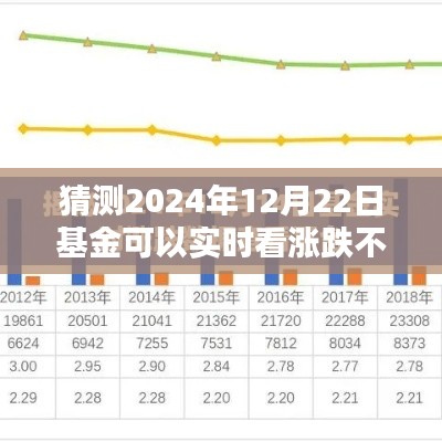 2024年12月22日基金实时涨跌预测攻略，掌握未来走势，初学者与进阶用户必读