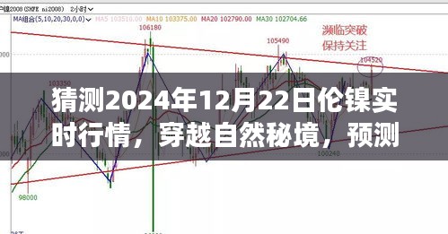 伦镍行情预测与心灵之旅，穿越自然秘境，探索2024年伦镍实时行情的奇妙交织