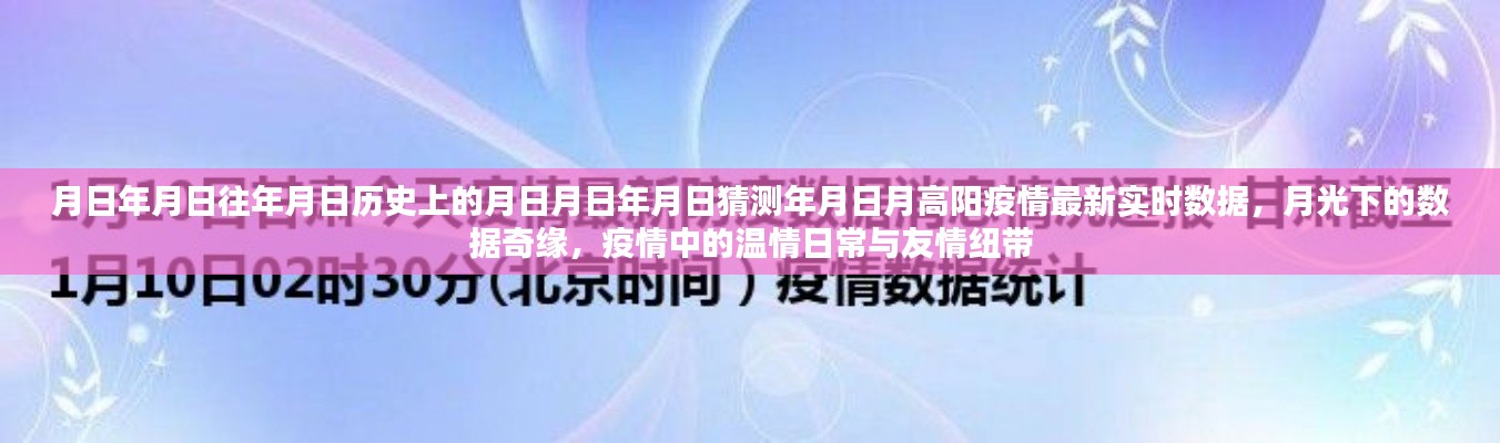 月高阳疫情最新实时数据与月光下的数据奇缘，历史视角下的温情日常与友情纽带