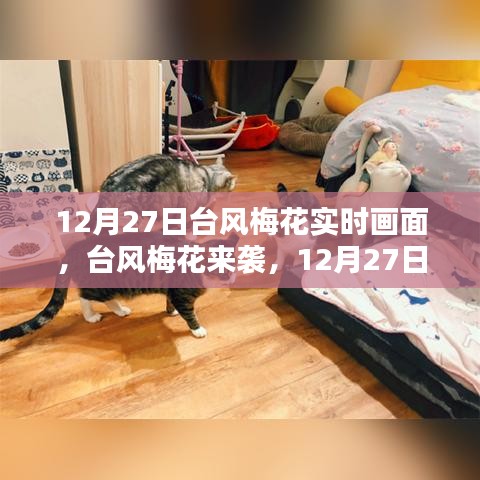 台风梅花来袭，12月27日实时画面与各方观点探析