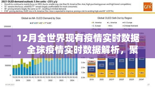 全球疫情实时数据解析，聚焦12月疫情动态与动态变化