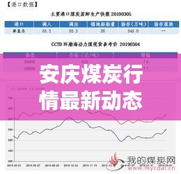 安庆煤炭行情最新动态解析