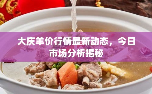 大庆羊价行情最新动态，今日市场分析揭秘