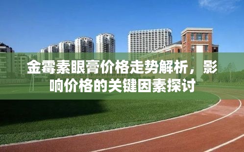 金霉素眼膏价格走势解析，影响价格的关键因素探讨