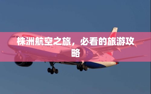 株洲航空之旅，必看的旅游攻略