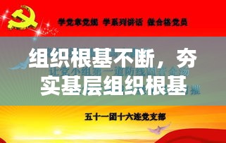 组织根基不断，夯实基层组织根基 