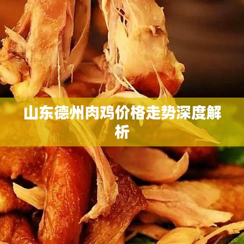 山东德州肉鸡价格走势深度解析