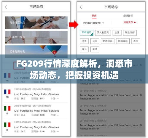 FG209行情深度解析，洞悉市场动态，把握投资机遇